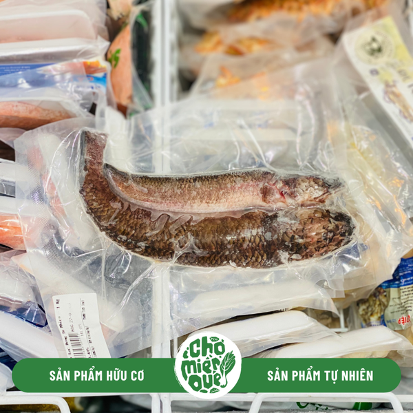 Cá lóc đồng tự nhiên - Kg
