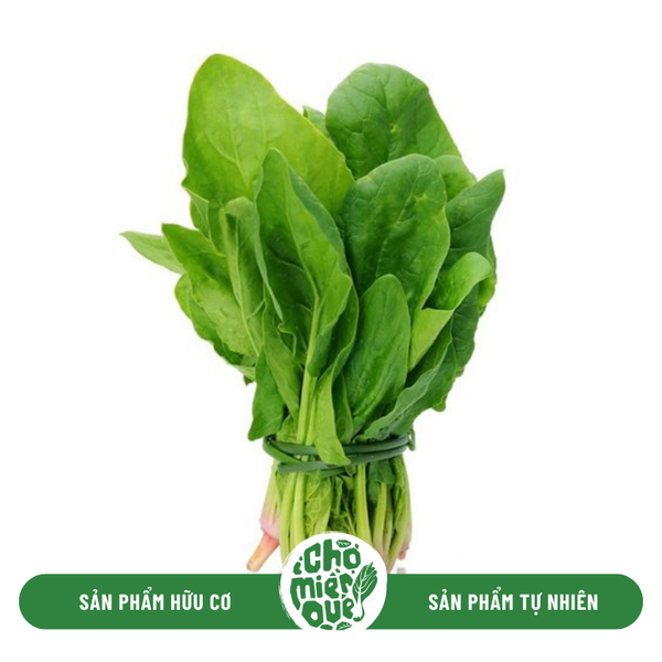 Cải bó xôi Sunny VT - Kg