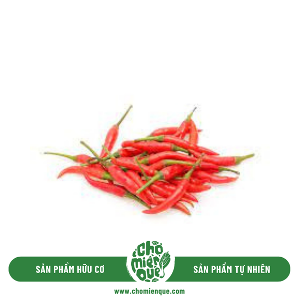 Ớt  chỉ thiên Sx Hữu Cơ  - Kg