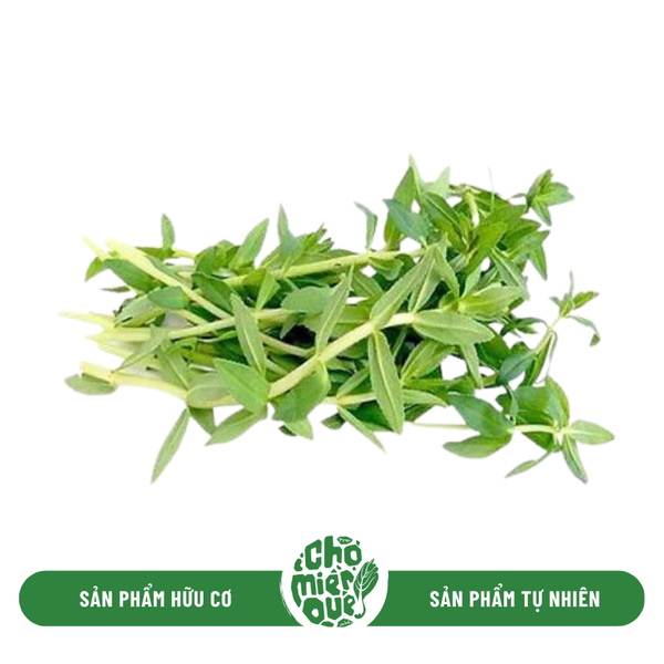 Rau om hữu cơ - Kg