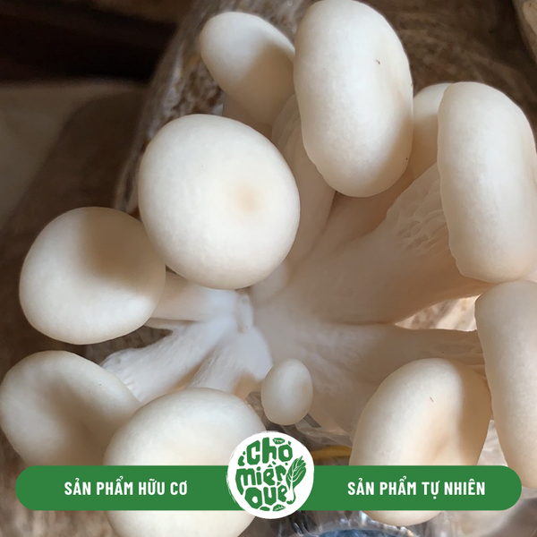 Nấm sò thái - 250gr