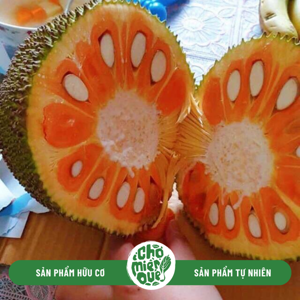 Mít ruột đỏ Indo - Kg