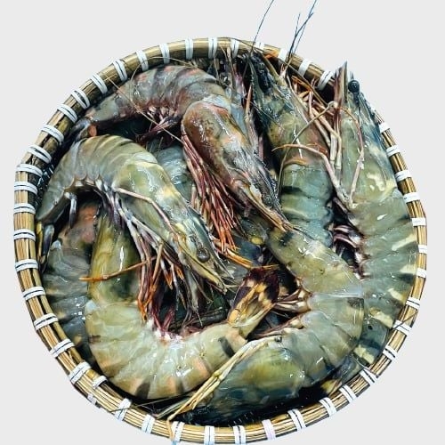 Tôm sú tự nhiên ( 16-20 con/kg)