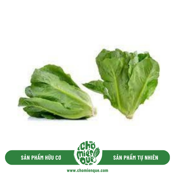 Xà Lách Romane hữu cơ - Kg