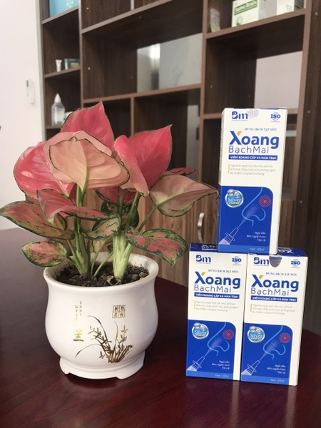 xit-xoang-bach-mai-giam-viem-xoang-viem-mui-di-ung-hieu-qua