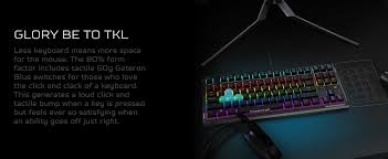 KEYBOARD ACER PREDATOR AETHON 301 TKL GAMING