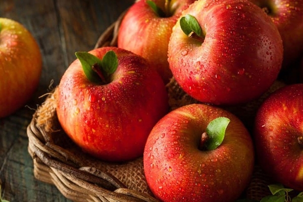 Một quả táo mỗi ngày giúp tránh xa bác sĩ