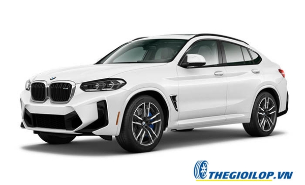 ac-quy-bmw-x4