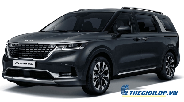 ac-quy-kia-carnival