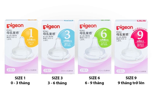 Núm ti Pigeon cổ rộng - Nhật bản