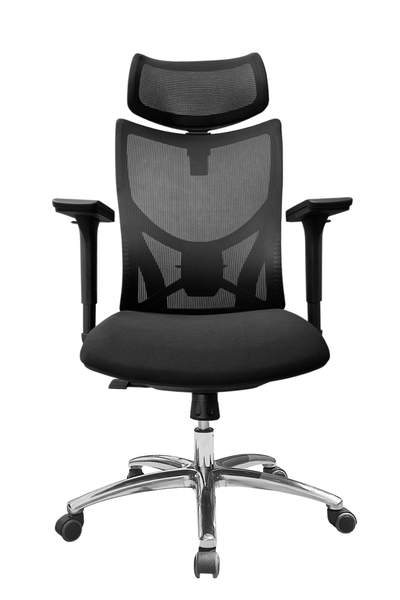 Ghế công thái học DP833