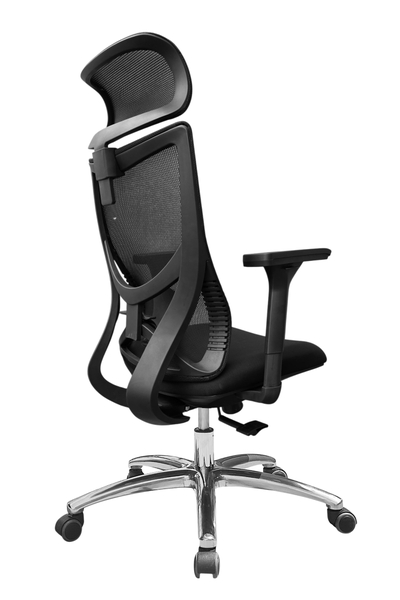 Ghế công thái học DP833