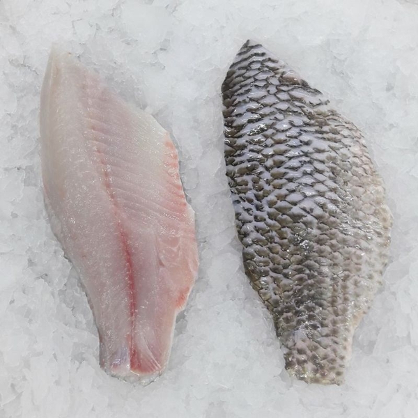 BLACK TILAPIA FILLET SKINLESS/ SKIN ON