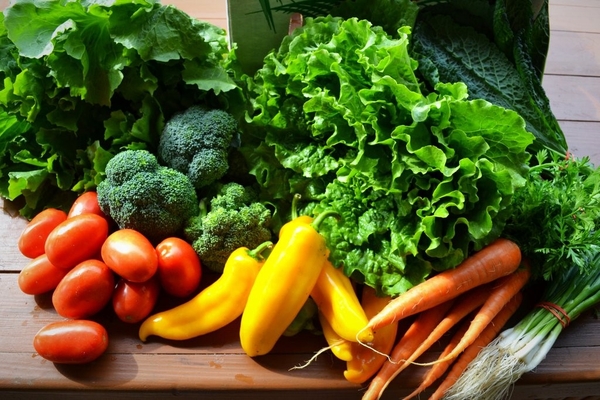 CÁCH TRỒNG VÀ CHĂM SÓC CÂY RAU MÀU phanbontomato.com