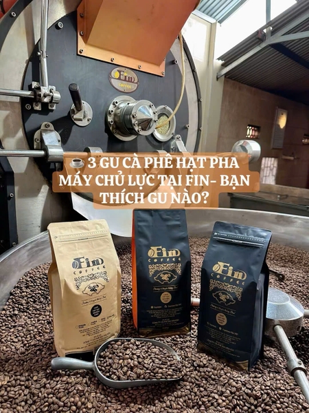 3 DÒNG CÀ PHÊ HẠT PHA MÁY CHỦ LỰC TẠI FIN ĐA DẠNG GU – ỔN ĐỊNH CHẤT LƯỢNG – ĐƯỢC NHIỀU QUÁN TIN DÙNG