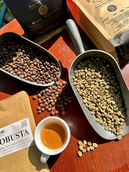 ROBUSTA HONEY – CHỌN TRÁI CHÍN CAO VÀ BẮT ĐẦU TỪ NGUYÊN LIỆU TỐT