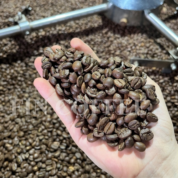 CÁC DÒNG CÀ PHÊ HẠT CHUYÊN DÙNG CHO PHA MÁY CHUẨN GU- CÁCH CHỌN DÒNG CÀ PHÊ NGON TRONG KINH DOANH CÀ PHÊ.