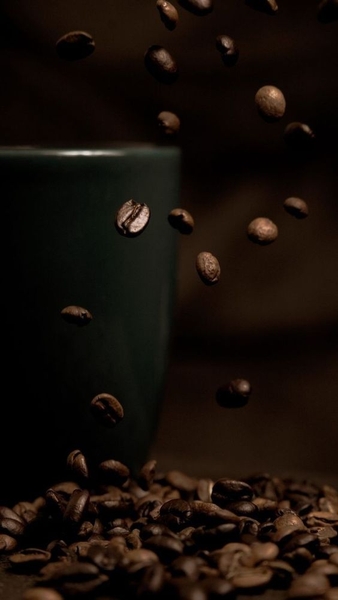 NGUỒN GỐC, LỊCH SỬ PHÁT TRIỂN CỦA CÂY CÀ PHÊ