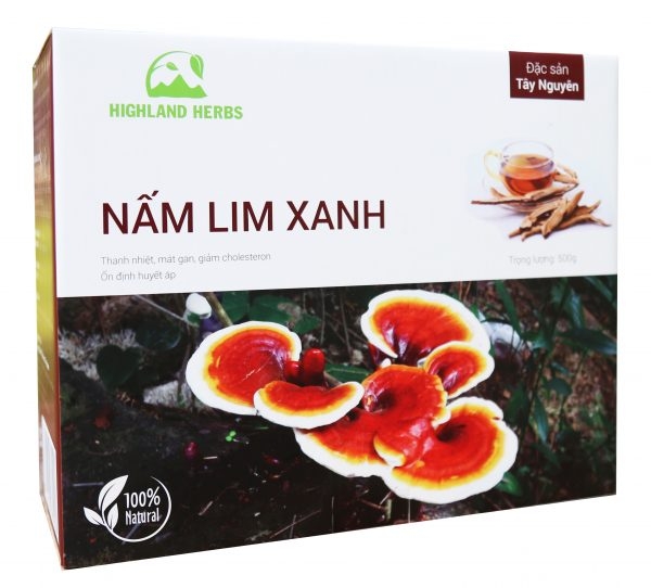 Nấm Lim Xanh