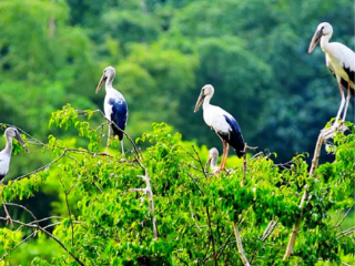 Khám Phá Cần Thơ - Những Điểm Đến Đậm Chất Miền Tây Sông Nước