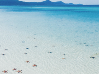 Top 7 Hòn Đảo Đẹp Nhất Việt Nam Dành Cho Tín Đồ Yêu Biển