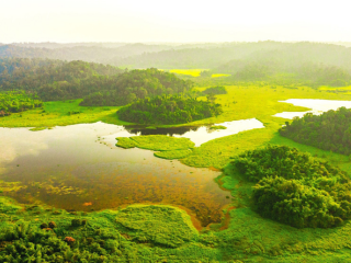 Top 5 Điểm Đến Du Lịch Sinh Thái Đẹp Nhất Việt Nam Năm 2025