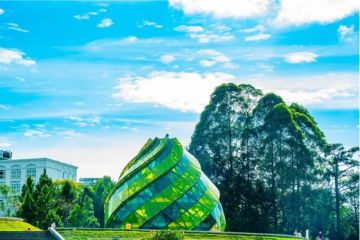 Những địa điểm hot nhất không thể bỏ lỡ khi đến với Đà Lạt