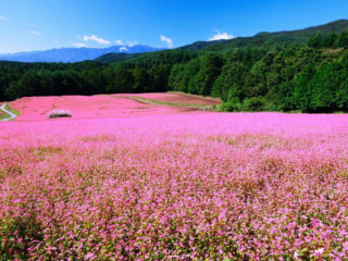Khám Phá Hà Giang - Hành Trình Đến Vùng Đất Địa Đầu Tổ Quốc