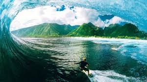 ngoisaotour.net - Lướt Sóng Tại Hawaii