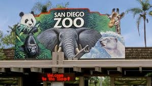 ngoisaotour.net - San Diego, California – Biển xanh và sở thú nổi tiếng thế giới
