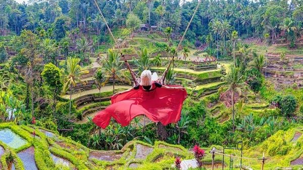 Ruộng Bậc Thang Tegalalang - Ngoisaotour.net