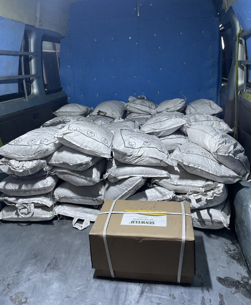 Bí Quyết Xây Dựng Hệ Thống Chống Sét Hiệu Quả cho Cơ Sở Hạ Tầng