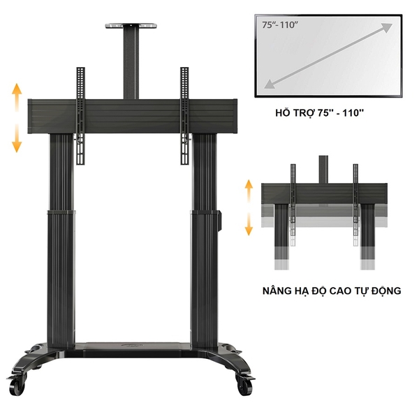 Giá treo tivi NB TW100 ( 75