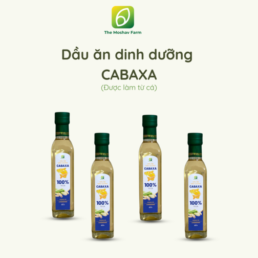 DẦU ĂN DINH DƯỠNG CABAXA