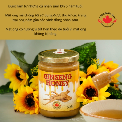 Mật Ong Nhân Sâm Canadian Vita - Ginseng Honey 1