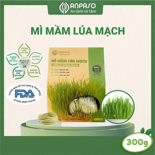 Mì Mầm Lúa Mạch Organic Anpaso 300g,