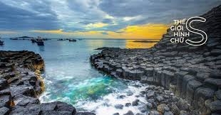PHÚ YÊN _ HOA VÀNG TRÊN CỎ XANH
