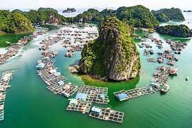 HÀ NỘI _ CÁT BÀ _ HÀ NỘI