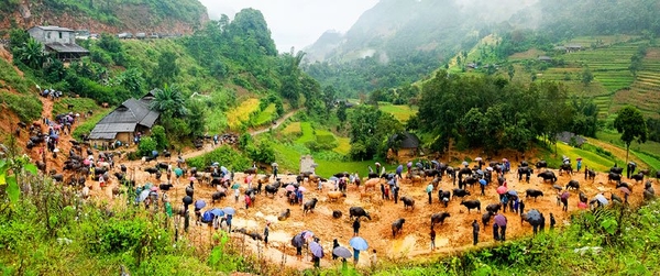 SAPA - CHỢ CÁN CÁU _ SAPA ( DAY TOUR )