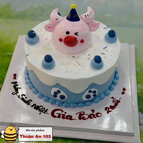 Bánh kem sinh nhật Thuận An Bình Dương 103
