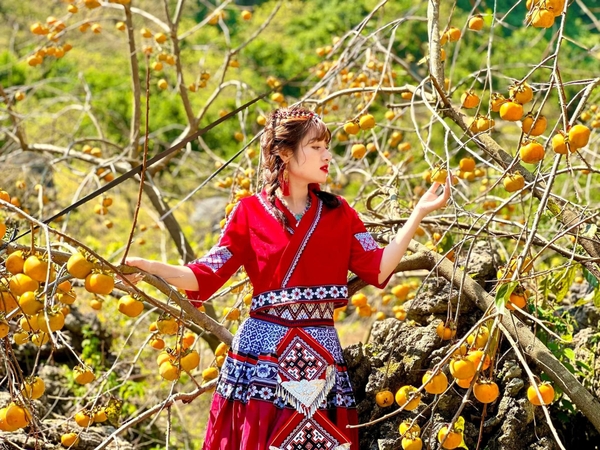 Mộc Châu - Cầu Kính Bạch Long 2 ngày 1 đêm (Khách sạn 3*)