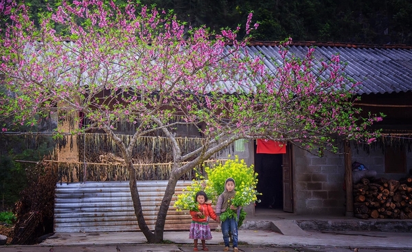 Hà Giang - Sông Nho Quế  - Khuổi Mi 3N4D - Tour xe máy 3 (1 khách tự đi 1 xe máy riêng)