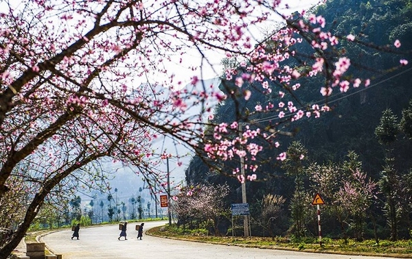 Hà Giang - sông Nho Quế 2 ngày 3 đêm (Mùng 2, 3, 4 Tết)