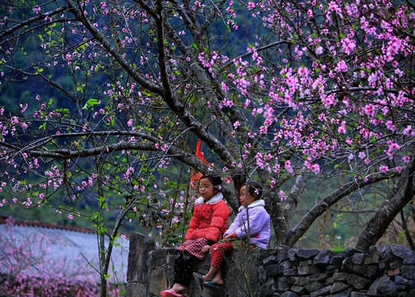 Hà Giang - sông Nho Quế 2 ngày 3 đêm (Mùng 2, 3, 4 Tết)