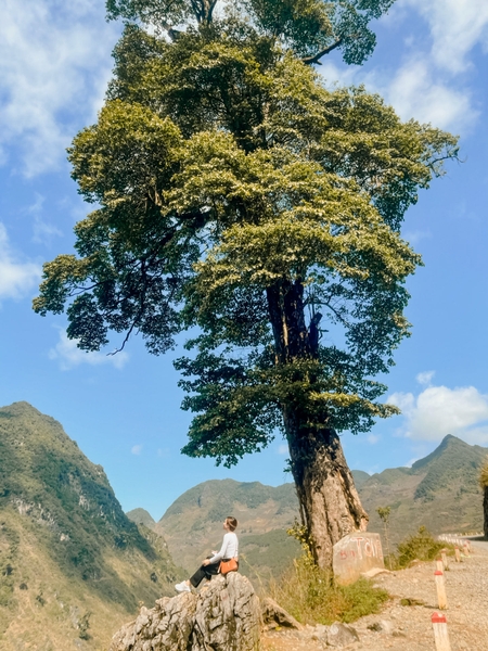Hà Giang - Sông Nho Quế 2N3D - Tour xe máy (1 khách tự đi 1 xe máy riêng)