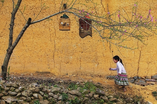 Hà Giang - Sông Nho Quế - Du Già 3N4D - Tour xe máy 3 (1 khách tự đi 1 xe máy riêng)