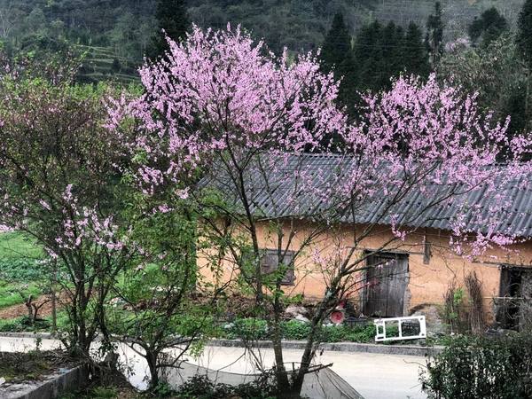 Hà Giang - sông Nho Quế 3 ngày 2 đêm (Mùng 2, 3, 4 Tết)