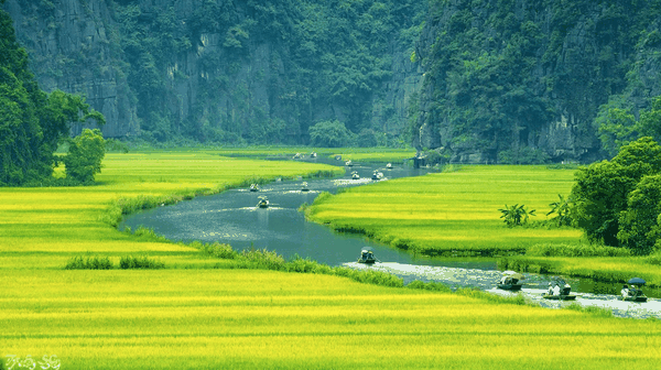 Hoa Lư - Tam Cốc - Hang Múa - Bái Đính - Tràng An 2N1D
