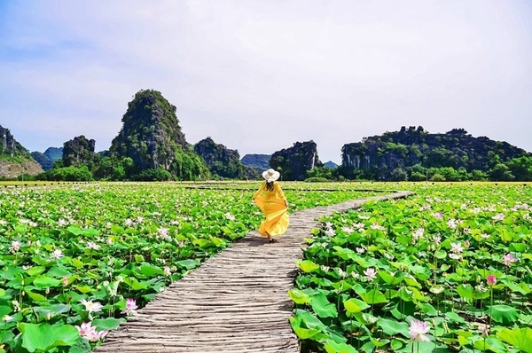 Tuyệt Tình Cốc - Tràng An - Hang Múa 1 ngày