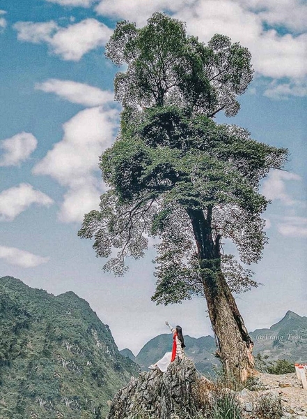 Hà Giang - Sông Nho Quế  - Khuổi Mi 3N4D - Tour xe máy 3 (1 khách tự đi 1 xe máy riêng)